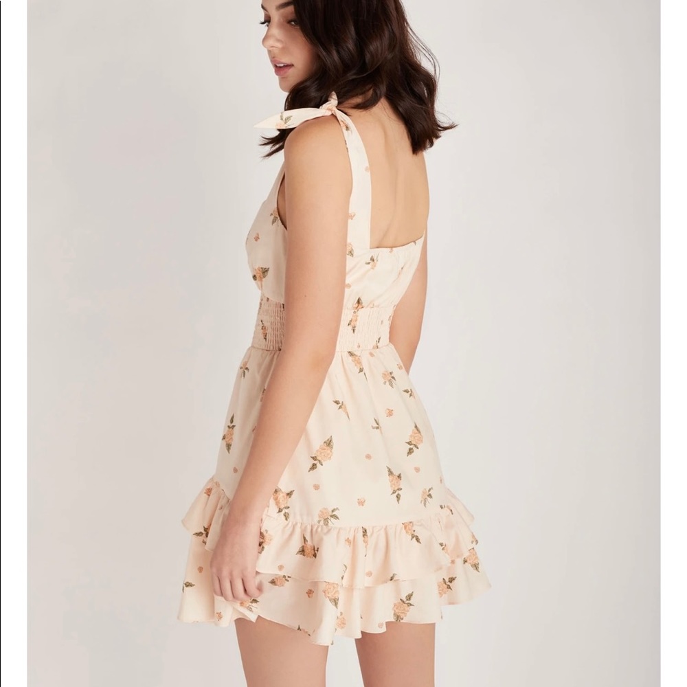 Backyard Roses Mia Dress - Picture 2 of 5